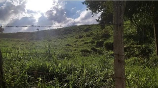Imóvel 2888107 [''] - ['Sítio Recanto Hebron, S/N, Ponte, Zona Rural'] [''] - ['Poço Fundo']/['MG'] - 1