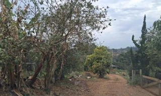 Imóvel 2693607 [''] - ['LINHA SETE DE SETEMBRO (PARTE LOTE RURAL Nº 1), S/N, ZONA RURAL'] [''] - ['São Miguel do Oeste']/['SC'] - 1