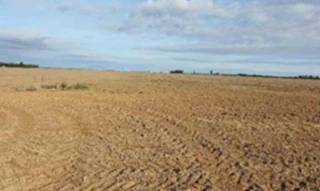 Imóvel 2690507 [''] - ['Rua 06, s/nº - Quadra 06, Lote 27 - Parque esperança - Luziânia / GO'] [''] - ['Luziânia']/['GO'] - 1