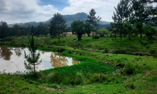 Imóvel 2863507 [''] - ['Nao informado Nao informado situado no lugar denominado Serra da Garganta'] [''] - ['Santa Terezinha']/['SC'] - 1