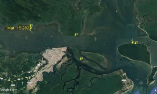 Imóvel 2492307 [''] - ['ILHA LAMIN DE FORA, Baía de Paranaguá'] [''] - ['Paranaguá']/['PR'] - 1
