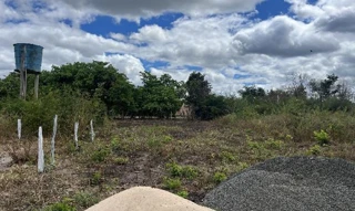 Imóvel 2681608 ['8444409908062'] - ['RUA PROJETADA 08,N. SN LT 21A, POEIRÃO - CEP: 64460-000, AGUA BRANCA - PIAUI'] [''] - ['Água Branca']/['PI'] - 1