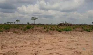 Imóvel 2609108 [''] - ['FAZENDA LARGA OU LARGA DO ZÉ JANUÁRIO'] [''] - ['Paranã']/['TO'] - 1