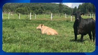 Imóvel 2313108 [''] - ['Lote n.º 16 da quadra B-3, Loteamento Ponto Alto'] [''] - ['Araripina']/['PE'] - 1