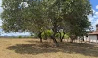 Imóvel 2971908 [''] - ['Sítio c/ 15 hectares, situada no lugar "Mumbuca", toda cercada de estacas e arrame farpado, c/ casa, instalação elétrica e hidráulica, possuindo açude'] [''] - ['Alagoinha']/['PB'] - 1