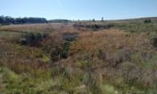 Imóvel 2679308 [''] - ['Estrada Federal BR 293, Km 136,5'] [''] - ['Candiota']/['RS'] - 1