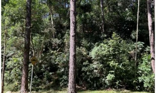 Imóvel 2568408 [''] - ['Estrada do Itaqui, 120 - Lote D-17, Condomínio Nova São Paulo - Itaqui - Itapevi / SP'] ['Itaqui'] - ['Itapevi']/['SP'] - 1