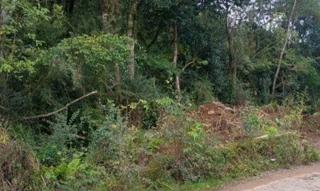 Imóvel 2759208 [''] - ['Acesso Salgado, S/N, São Cristóvão (Distrito), Flores da Cunha/RS'] [''] - ['Flores Da Cunha']/['RS'] - 1