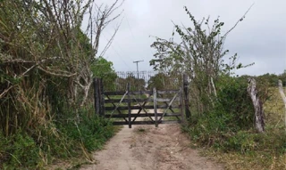 Imóvel 2600409 [''] - ['Estrada Vicinal, s/nº - Humildes - Feira de Santana - BA'] [''] - ['Feira De Santana']/['BA'] - 1