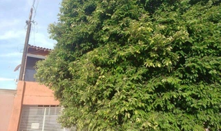 Imóvel 2655409 [''] - ['Rua 23'] ['Vivi Xavier'] - ['Londrina']/['PR'] - 1