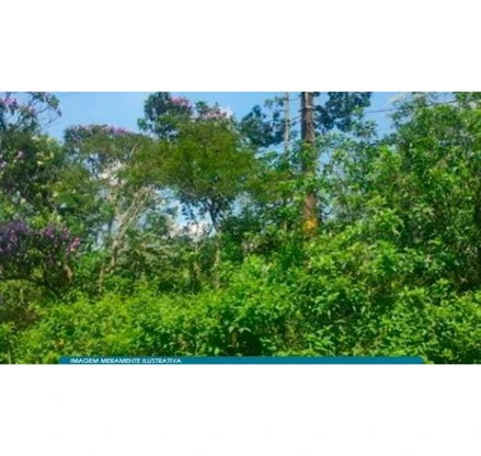 Terreno em Mauá, Jardim Isabella, Avenida José Fernando Medina Braga, Jardim Isabella, Mauá, SP, SP. Área: 31597.86m2 - imagem 0