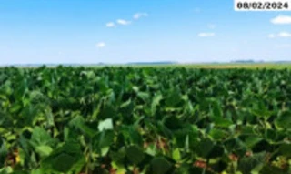 Imóvel 2934709 [''] - ['Fazenda de 486,80,88ha, Estância da Palma, Manoel Viana'] [''] - ['Manoel Viana']/['RS'] - 1