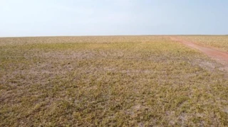 Imóvel 2394009 [''] - ['lote 02, denominada "FAZENDA CAMPEÃ II",'] [''] - ['Jaciara']/['MT'] - 1