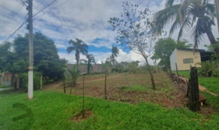 Imóvel 2562509 [''] - ['Alameda Ribeirão Bonito'] [''] - ['Penápolis']/['SP'] - 1