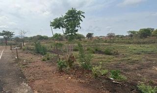 Imóvel 2609809 [''] - [''] [''] - ['Araguacema']/['TO'] - 1