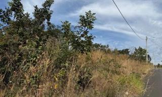 Imóvel 2947709 [''] - ['Rua 18, 22, Lote 22, Quadra 195, Loteamento Lagoa Quente de Caldas Novas, Caldas Novas, GO, 75690-000, Rua 18, Caldas Novas, GO, 75690-000'] ['St. Lagoa Quente'] - ['Caldas Novas']/['GO'] - 1