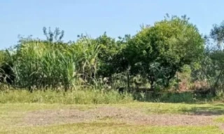 Imóvel 2898509 [''] - ['LOTE URBANO N°07, da quadra n°168, com a área de 1.000m2, sem construções, sito na cidade de Bandeirante -SC'] [''] - ['Bandeirante']/['SC'] - 1