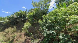 Imóvel 2885509 [''] - ['Taio,'] [''] - ['Taió']/['SC'] - 1