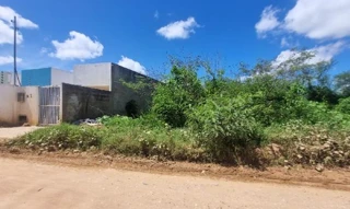 Imóvel 2949909 ['8444426997469'] - ['RUA SEM DENOMINACAO,N. SN QD A LOTES 01 02 03 E 04B, JD GUAJARA MIRIM - CEP: 49160-000, NOSSA SENHORA DO SOCORRO - SERGIPE'] ['Taiçoca de Fora'] - ['Nossa Senhora Do Socorro']/['SE'] - 1