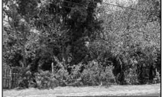 Imóvel 2624709 ['10276271'] - ['RUA MARANHAO,N. S/N LOCAL CHAMADO TRAÍRA, CENTRO-SUL - CEP: 78135-602, VARZEA GRANDE - MATO GROSSO'] ['Centro Sul'] - ['Várzea Grande']/['MT'] - 1