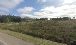 Imóvel 2484409 [''] - ['Candiota, RS'] [''] - ['Candiota']/['RS'] - 1