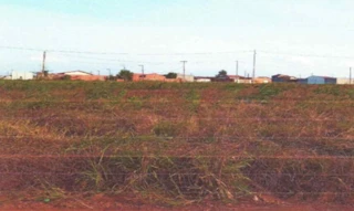 Imóvel 2699809 [''] - ['Rua Sueli de Barros Santos, 5 - Quadra 31, Etapa II, Loteamento Frei Alberto Beretta - Extrema - Grajaú / MA'] [''] - ['Grajaú']/['MA'] - 1