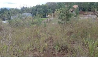 Imóvel 2712009 [''] - ['Rua Júlio Carlos Feldens, Lote 06 da Quadra D, Nova Petrópolis, RS'] [''] - ['Nova Petrópolis']/['RS'] - 1