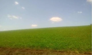 Imóvel 2705309 [''] - ['Linha Dr. Ferreira Correia São Roque'] [''] - ['Ivaí']/['PR'] - 1