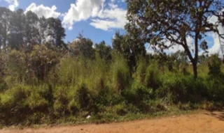 Imóvel 2665909 [''] - ['Rua 44, Quadra 144, Lote 03, Mansões de Recreio Estrela Dalva IV, Luziânia, GO, CEP: 72852-550'] ['Parque Estrela Dalva IV'] - ['Luziânia']/['GO'] - 1