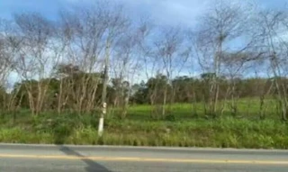 Imóvel 2724910 [''] - ['Avenida Central Ewerton Xavier, S/n - Gleba A, Sitio Boa Esperança - Várzea das Moças - Niterói / RJ'] ['Várzea das Moças'] - ['Niterói']/['RJ'] - 1