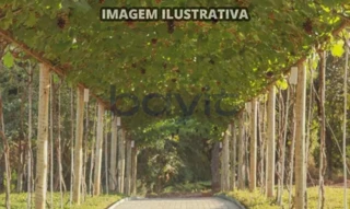 Imóvel 2855910 [''] - ['RUA CATALUNHA, RESIDENCIAL CASA UVVA - Bela Vista de Goiás - GO'] [''] - ['Bela Vista De Goiás']/['GO'] - 1