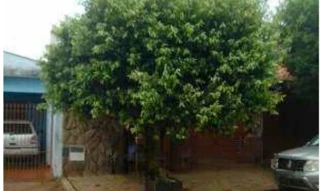 Imóvel 2555110 [''] - ['José Tofaneto Costa, 62 - Vila Santa Luzia - Jardinópolis / SP'] [''] - ['Jardinópolis']/['SP'] - 1