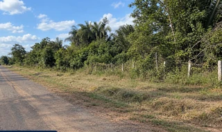 Imóvel 3006610 [''] - ['FAZENDA SAPUCAIA, S/N, ZONA RURAL'] [''] - ['Peri Mirim']/['MA'] - 1