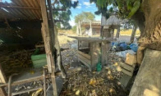 Imóvel 2889410 [''] - ['Assentamento Rural Cedro Rosa, Gleba Atlântica'] [''] - ['Nova Ubiratã']/['MT'] - 1