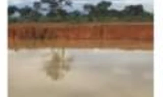 Imóvel 2645510 [''] - ['Fazenda Lagoa do Japonês'] ['Zona Rural'] - ['Pindorama Do Tocantins']/['TO'] - 1