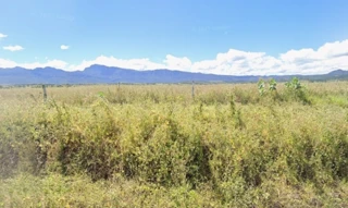 Imóvel 2516210 [''] - ['Mato Verde, MG'] [''] - ['Mato Verde']/['MG'] - 1