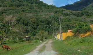 Imóvel 2668610 [''] - ['Alameda do Nhambu, Manacá dos Itatins, Peruíbe, SP'] ['Manacá dos Itatins'] - ['Peruíbe']/['SP'] - 1