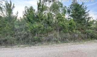 Imóvel 2664610 ['1444419994974'] - ['ESTRADA 12,N. SN LT 205 QD 11, LOT RURAL ELDORADO - CEP: 92990-000, ELDORADO DO SUL - RIO GRANDE DO SUL'] ['Sol Nascente'] - ['Eldorado Do Sul']/['RS'] - 1