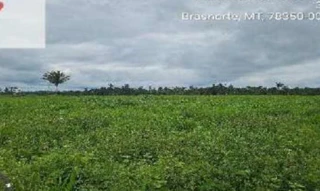 Imóvel 2596610 [''] - ['Nao informado Nao informado'] [''] - ['Brasnorte']/['MT'] - 1