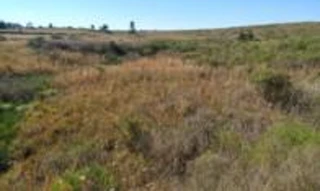 Imóvel 2679310 [''] - ['Estrada Federal BR 293, Km 136,5'] [''] - ['Candiota']/['RS'] - 1