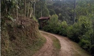 Imóvel 1636710 [''] - ['Lote de terreno com benfeitoria em Teresópolis Lote 19 da Qd. E, loteamento Jardim Aredes'] ['Lagoinha'] - ['Nova Friburgo']/['RJ'] - 1