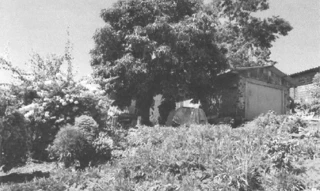 Imóvel 2942910 [''] - ['Rua São Paulo, s/n.º, Bairro Bagatini, na cidade de PALMITOS, SC/'] ['Bagatini'] - ['Palmitos']/['SC'] - 1