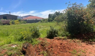 Imóvel 2537410 [''] - ['Distrito Industrial, Avenida nº 4, lote 33, quadra D'] [''] - ['Santa Bárbara Do Sul']/['RS'] - 1