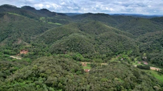 Imóvel 2205910 [''] - ['ESTRADA DO CERNE, PR-90, KM 42, DISTRITO DE BATEIAS'] [''] - ['Campo Largo']/['PR'] - 1