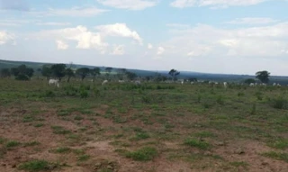 Imóvel 2645111 [''] - ['Rodovia MT-481, s/n - Fazenda Araguaia IV - Zona Rural - Alto Araguaia / MT'] [''] - ['Alto Araguaia']/['MT'] - 1