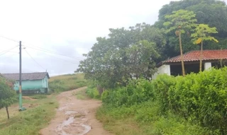 Imóvel 2278711 [''] - ['- Engenho Falcão'] [''] - ['Aliança']/['PE'] - 1