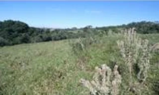 Imóvel 2959311 [''] - ['Fazenda Pari-Veado, no lugar denominado Água do Cateto'] [''] - ['Echaporã']/['SP'] - 1