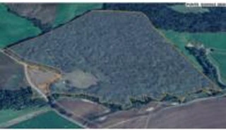 Imóvel 2605611 [''] - ['Assunguí'] [''] - ['Fernandes Pinheiro']/['PR'] - 1