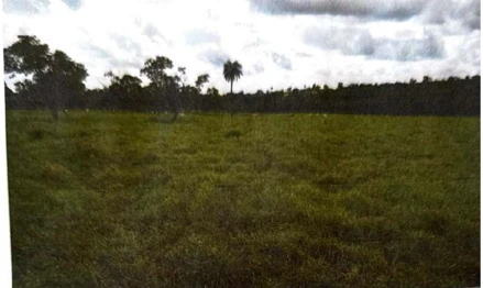Imóvel Rural em Leilão em Comendador Gomes / MG - Imóvel 3008711 ...