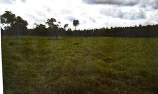 Imóvel 3008711 [''] - ['Fazenda Morrinhos, no município de Comendador Gomes'] ['W'] - ['Comendador Gomes']/['MG'] - 1